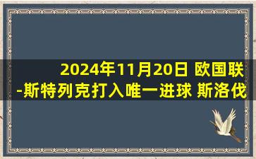 2024年11月20日 欧国联-斯特列克打入唯一进球 斯洛伐克1-0爱沙尼亚